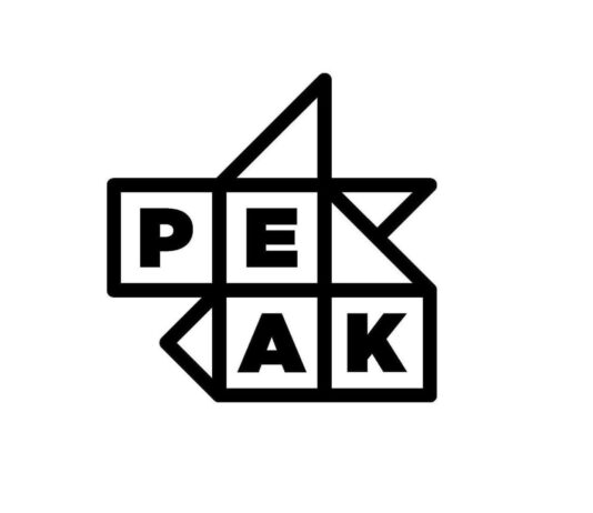 Peak conducts Digital Hiring Day to enroll freshers for Jaipur Peak conducts Digital Hiring Day to enroll freshers for Jaipur