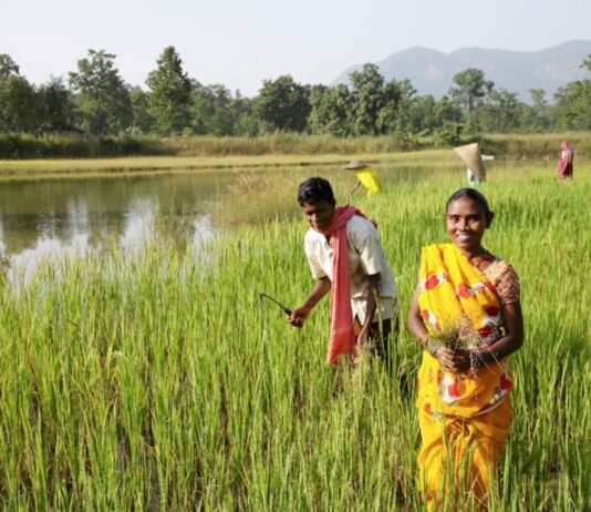 BALCO transforming the lives of farmers in the vicinity