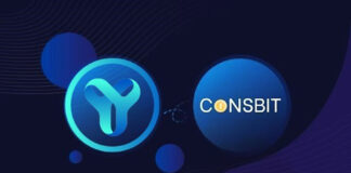 YES WORLD Token is TOP Gainer, Up 4900 % in just 24 hours! Highest Volume for a newly listed Token