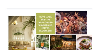 The Olive Cafe & Bar, the white-walled wonderland, opens in the city beautiful