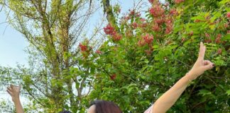 Meet the Mom Blogger Deepika Dixit, who’s acing the Influencing Game in right direction. Here are her thoughts on, Why an Educated Mother? Meet the Mom Blogger Deepika Dixit who’s acing the Influencing Game in right direction. Here are her thoughts on Why an Educated Mother?