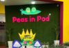 Peas in Pod Preschool: Empowering Children with High-Quality Early Learning and Nurturing Care Peas in Pod Preschool Empowering Children with High-Quality Early Learning and Nur