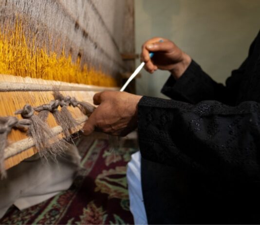 Pashmina Vogue: Bridging Kashmiri Tradition and Global Fashion Pashmina Vogue: Bridging Kashmiri Tradition and Global Fashion