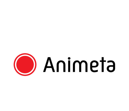 Animeta Scores Big With Campaigns In E-Commerce, Fintech, Interiors, Food And Education Categories