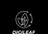 DigiLeaf Technologies Leads AI Innovations, Shaping the Future