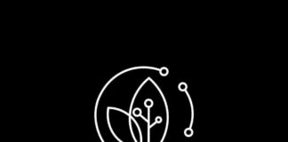 DigiLeaf Technologies Leads AI Innovations, Shaping the Future