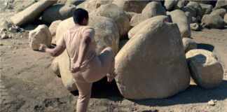 Kiran Nadar Museum of Art presents The Elemental You