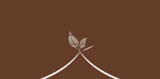 Jungle Camps India Limited IPO opens today; Raises ₹8.3 crores from Anchor investors