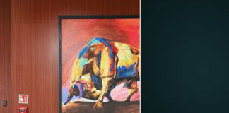 India’s Top Broker AVC Dhanam – Making Wealth Building Simple