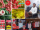 FOODAM: Bringing Ethical, Farm-Fresh Goodness from Rural India to Every Indian Home