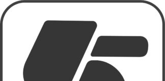 Festovee: Empowering B2B Businesses with Direct Sourcing, Bulk Orders & International Reach