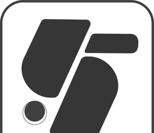 Festovee: Empowering B2B Businesses with Direct Sourcing, Bulk Orders & International Reach