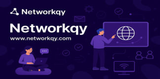 Networkqy: A New Era of Professional Networking Begins