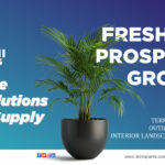 Laxmi Plants: Complete Plant Solutions – Rental, Supply & Care Across PAN India