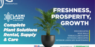 Laxmi Plants: Complete Plant Solutions – Rental, Supply & Care Across PAN India