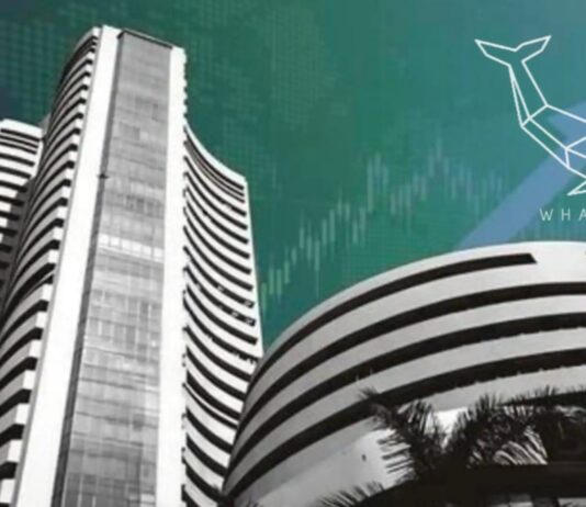 Whalestox: Empowering India’s New-Age Traders Through Practical Stock Market Education