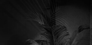 Amarchhaya International Silver Jewellery Pvt. Ltd. Launches Exclusive Silver Coin Collection for Diwali 2026 Amarchhaya International Silver Jewellery Pvt. Ltd., Exclusive Silver Coin Collection for Diwali 2026, premium silver craftsmanship,