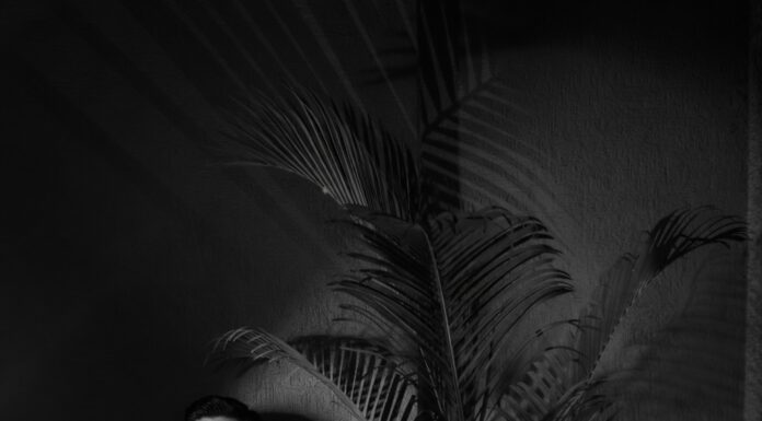 Amarchhaya International Silver Jewellery Pvt. Ltd. Launches Exclusive Silver Coin Collection for Diwali 2026 Amarchhaya International Silver Jewellery Pvt. Ltd., Exclusive Silver Coin Collection for Diwali 2026, premium silver craftsmanship,