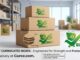 Bad Packaging Hurts Indian Sellers; Gurez Launches Strong and Cheap 3 Ply Corrugated Boxes to Stop Losses
