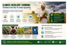 Sustainable Agriculture Can Secure the Future of India’s Farmers