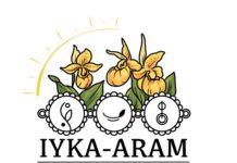 Northeast India’s Healthcare Shift: How Meghalaya’s Iyka-Aram Wellness is Redefining Clinical Wellness Through Drugless Healthcare